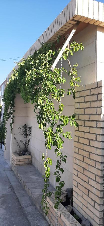 Apartment Brane Solin Buitenkant foto